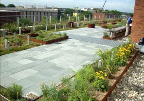 Vegetated Roof Replacement